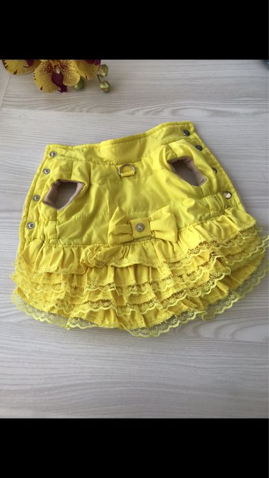 Одежда для собак