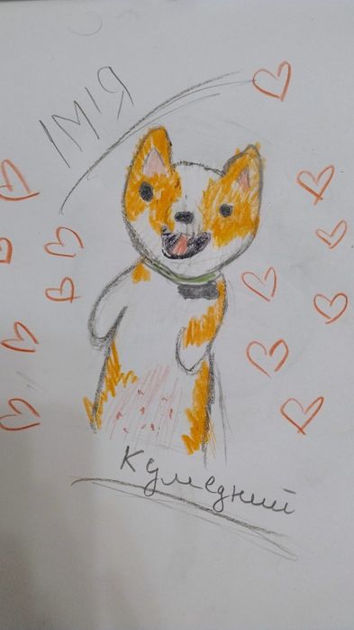 Намалюю вашого улюбленця