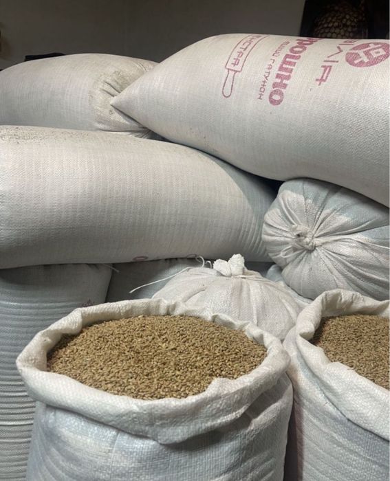 Продам зерно пшениці