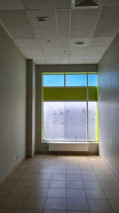 Аренда 1 этаж под магазин 230 м2, м. "23 августа", в ТРЦ ЭКСПРЕСС