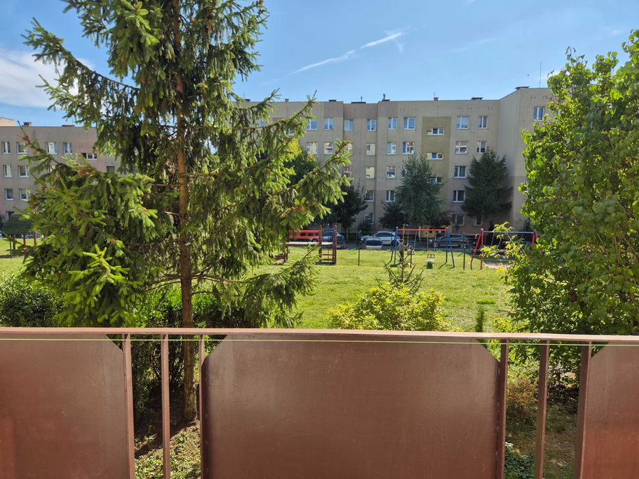 Mam do wynajęcia mieszkanie 50m2