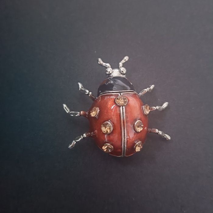 Broszka Biedronka okazała