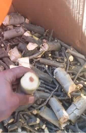 ВИРОБНИК! Гілкоруб (гілк.50мм) 2 та 4 ножі,подрібнювач гілок, дровокол