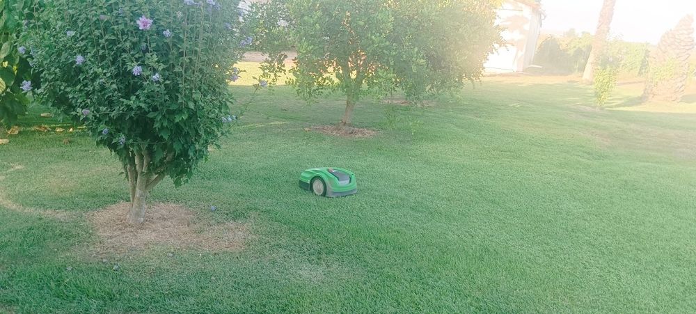 Robôs corta relva venha ver a trabalhar