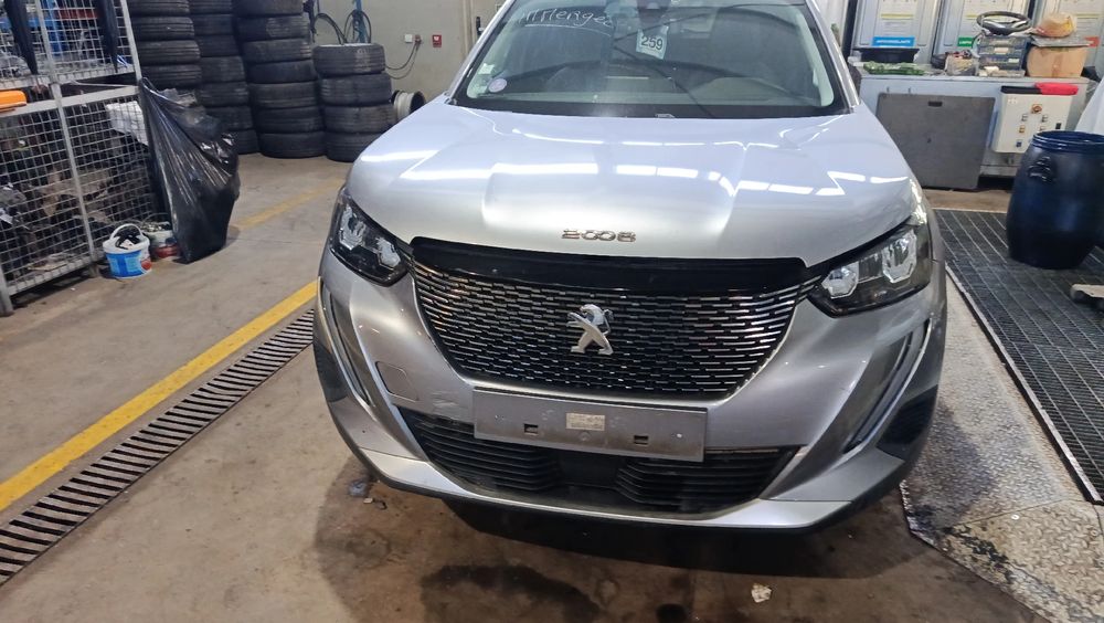 Frente completa PEUGEOT 2008 II (U_)