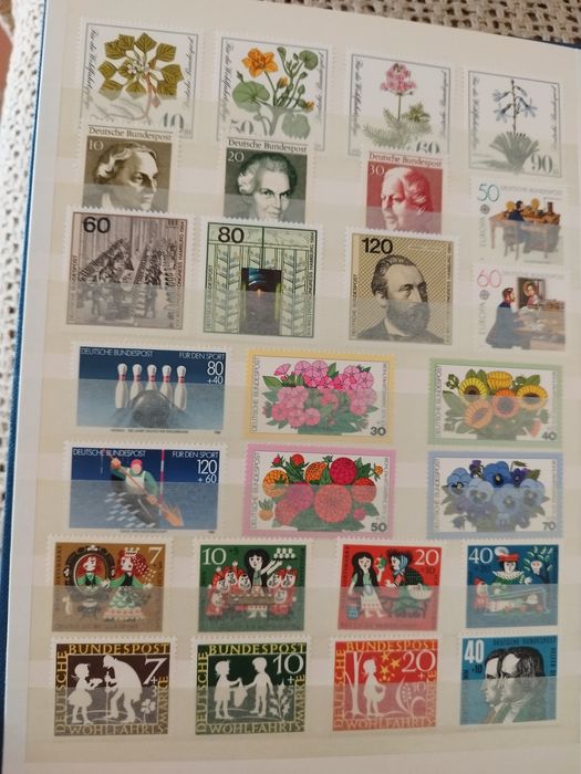 Classifier with 50 Different, Complete, and New RFA Series64552618516610121