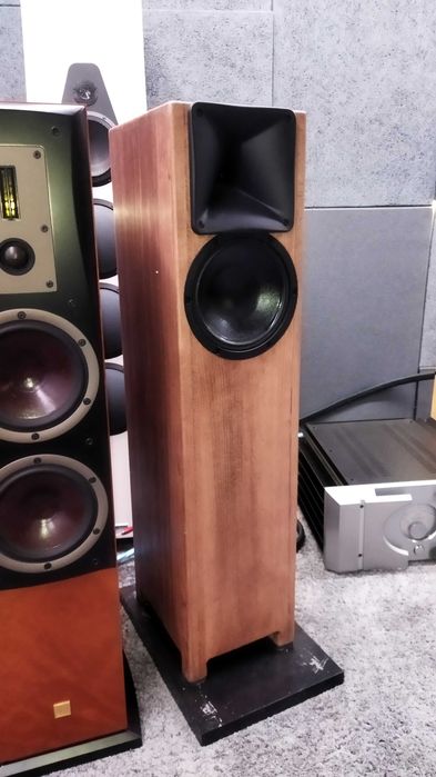 Цифровая активная двухполосная Hi-End акустика.