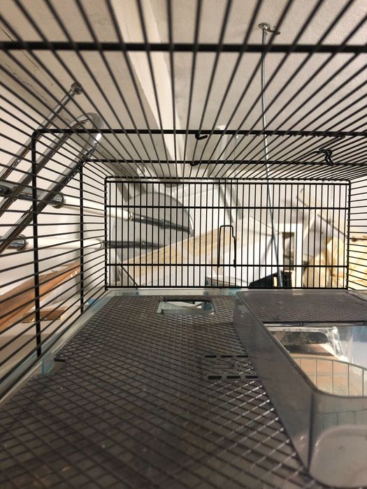 2 casotas de hamster