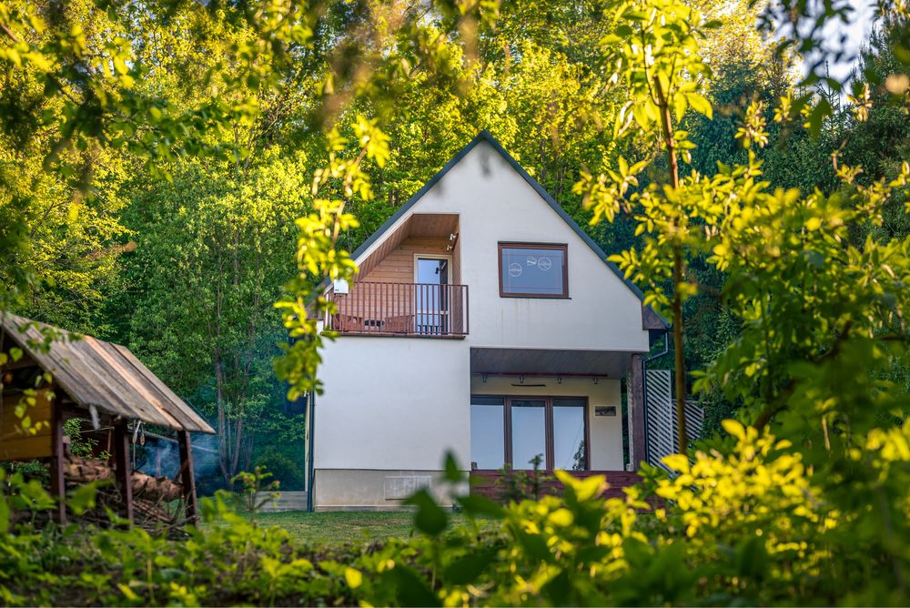 Nowoczesny dom w Bieszczadzkim lasie