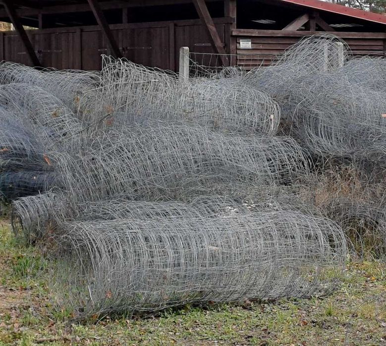 Siatka leśna w rolkach