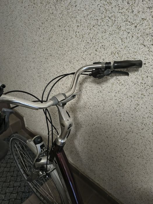 Rower holenderski damka