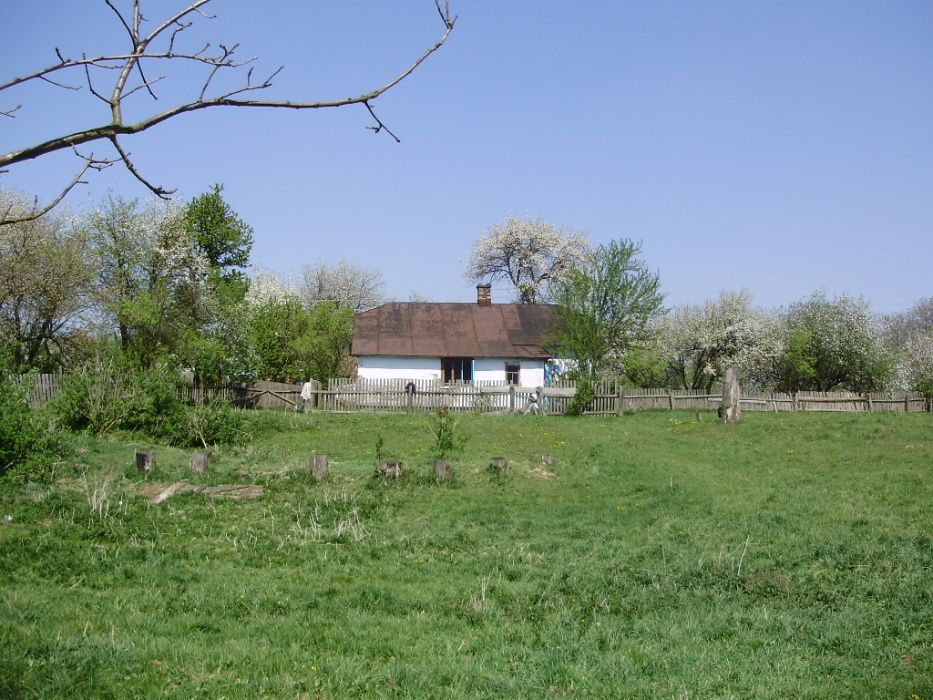 продам будинок ( Льв.обл. Радехівський р-н)