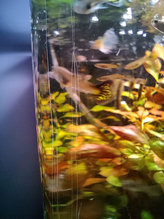 Akwarium, terrarium, paludarium 60l