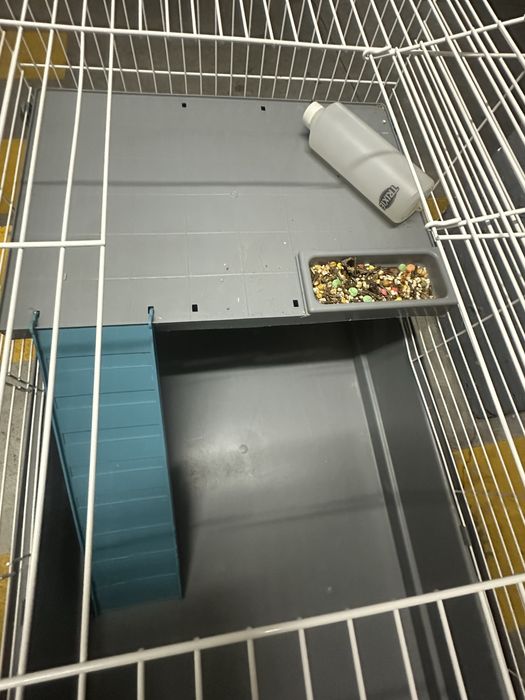 Gaiola grande roedores ( praticamente nova) 2 andares