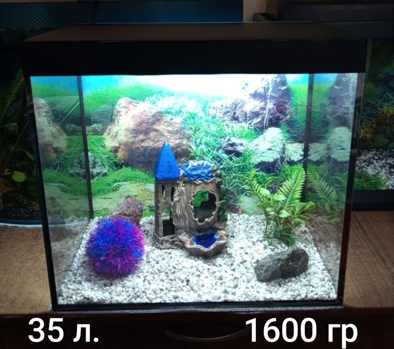 Аквариумы на любой вкус