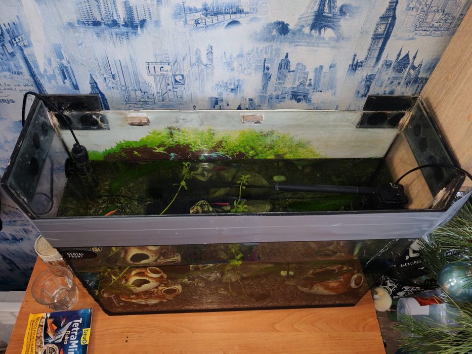 Акваріум 80 літрів