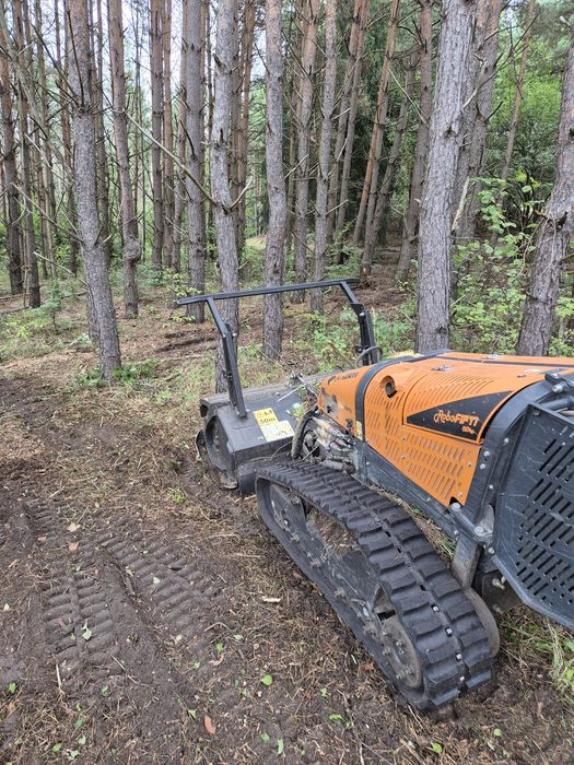 Mulczowanie, koszenie, odkrzaczanie, energreen