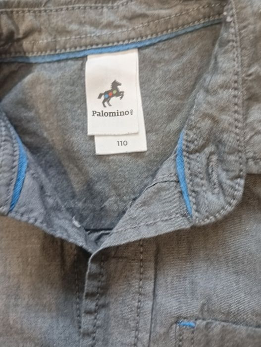 Koszula chłopięca Palomino
