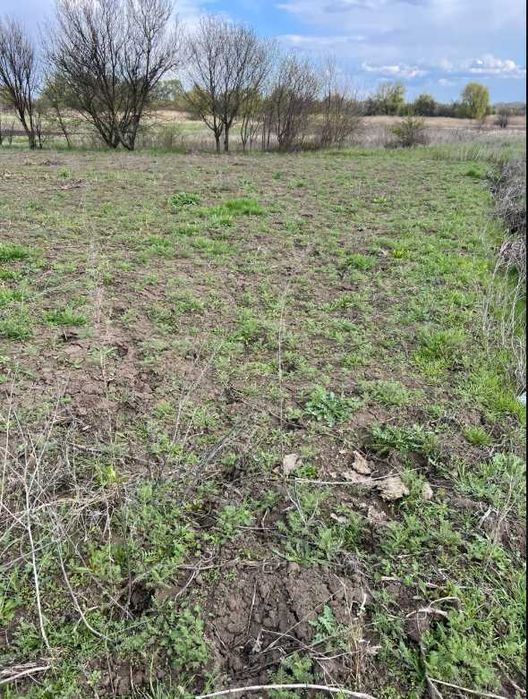 Пропоную до продажу земельну ділянку с. Ч. Слобода