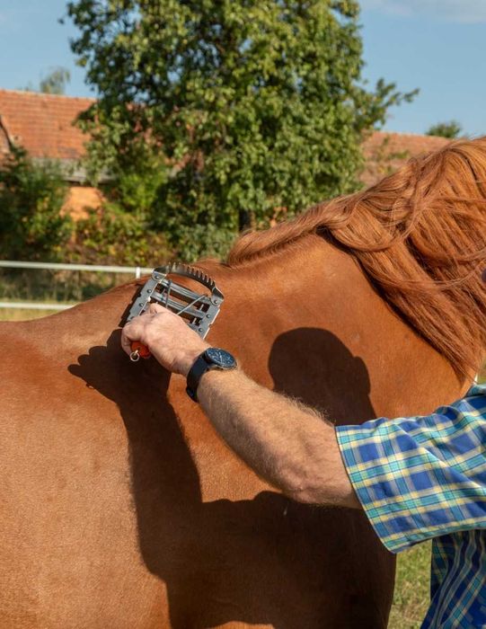 Zgrzebło metalowe dla bydła, z grzebieniem, 12 x 12,5 cm, Kerbl