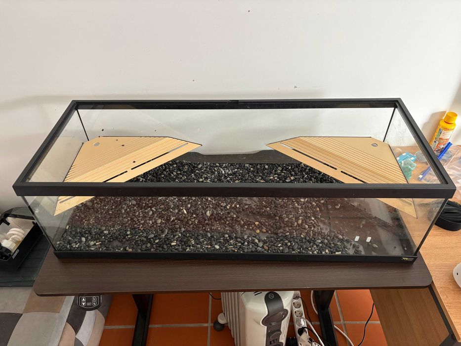 Large Tropical Aquarium Setup with External Filter – Ready to Go