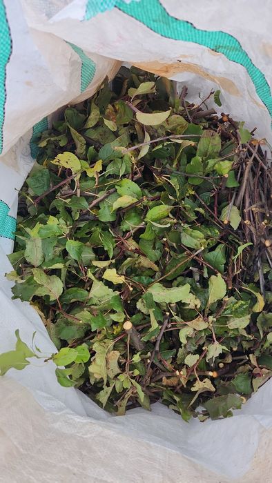 Подрібнення гілок пнів обрізка дерев