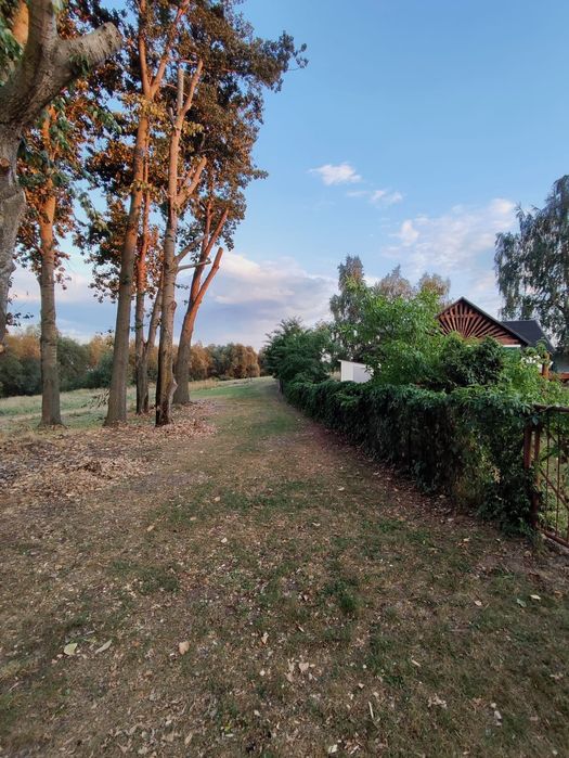 Domki pod topolami, wynajem.