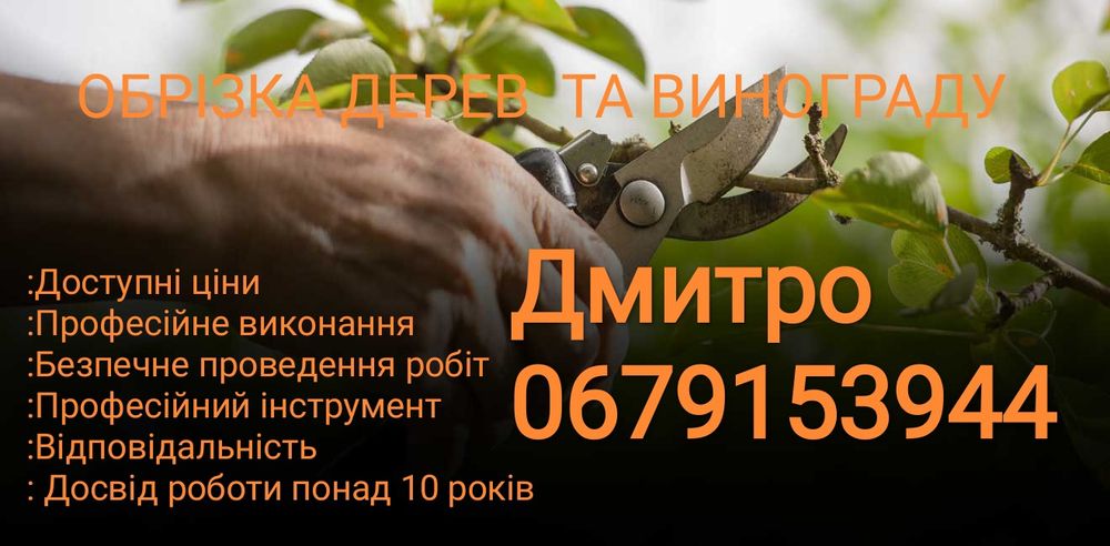 Чистка саду,обрізка винограду плодових дерев.