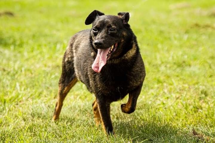 Zrobiła ogromne postępy! Szuka kochającej Rodziny!