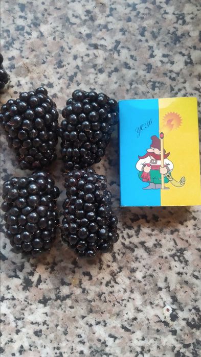 йошта ежевика крупная