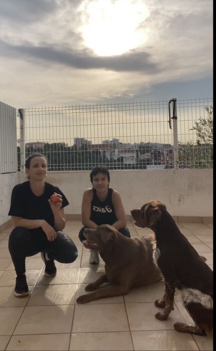 Pet Sitting Deixa Comigo
