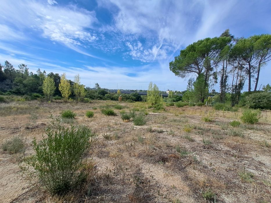 Terreno com poço na Albufeira do Carril