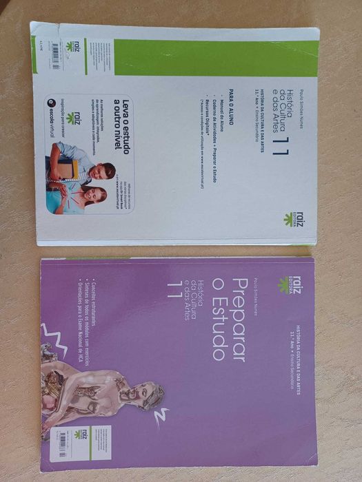 História da Cultura e das Artes 11 - 11.º ano