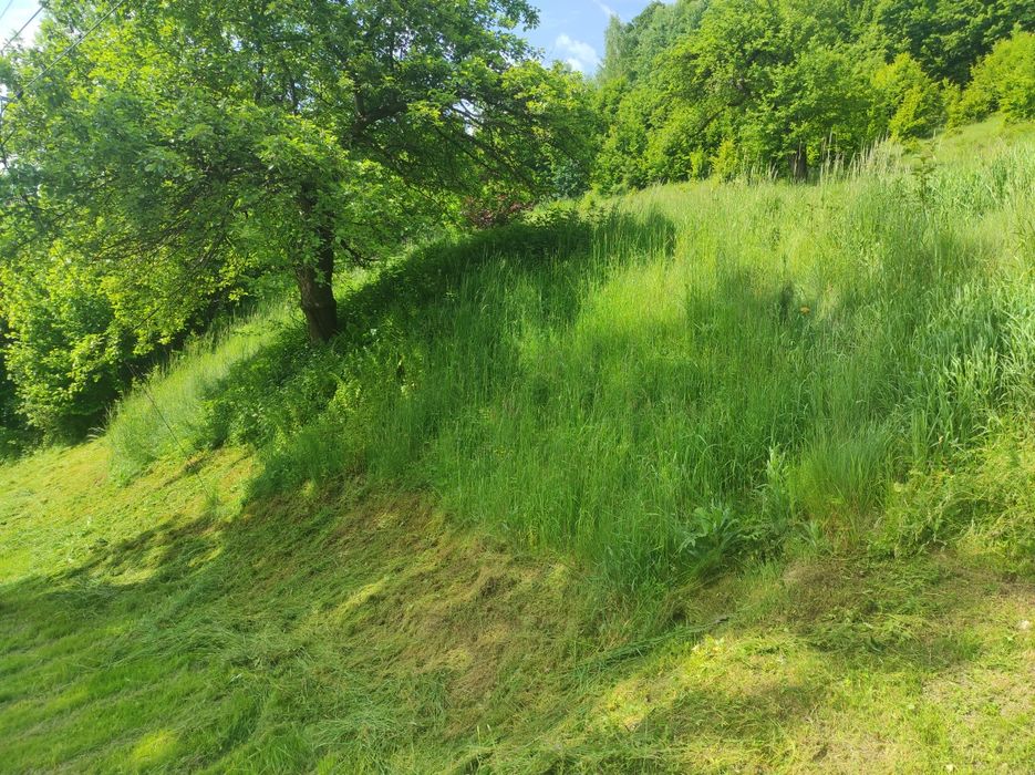 Koszenie trawy ,wykaszanie ,wertykulacja,utrzymanie posesji.