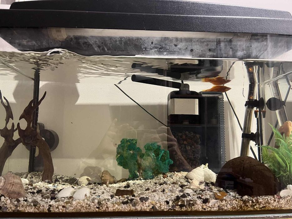Akwarium 63 litrowe