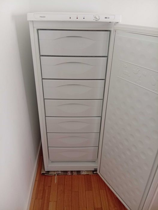 Arca congeladora vertical 7 gavetas