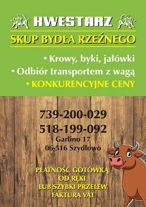 SKUP BYDŁA Rzeźnego I Hodowlanego\cieląt\odsadków\żarłaków