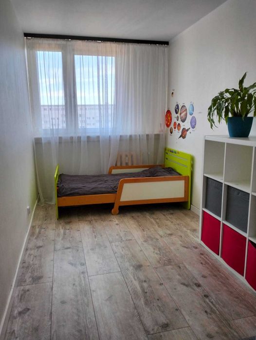 Jasne 3 pokoje z widokiem na Park Zachodni | Po remoncie | Wrocław - Popowice