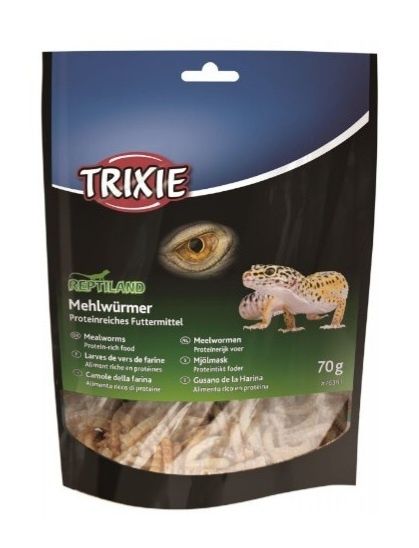 Świerszcze, mączniki, drewnojady || Karmówka, jaszczurka, białko