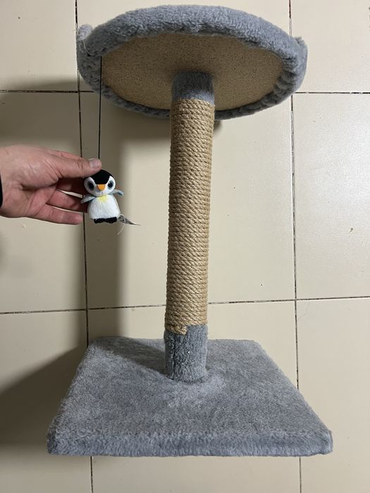 Когтеточка для кошек с полочкой