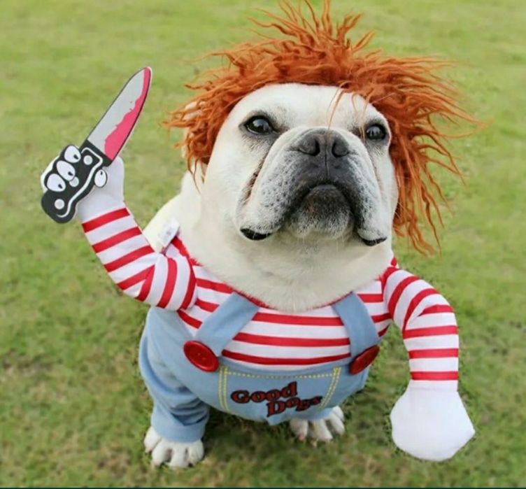 Костюмы для собак и котов, одежда