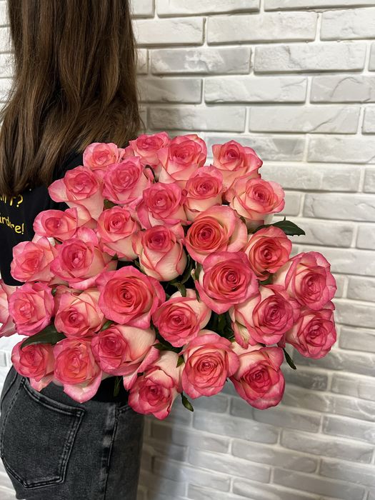 51 розовая Роза высокая