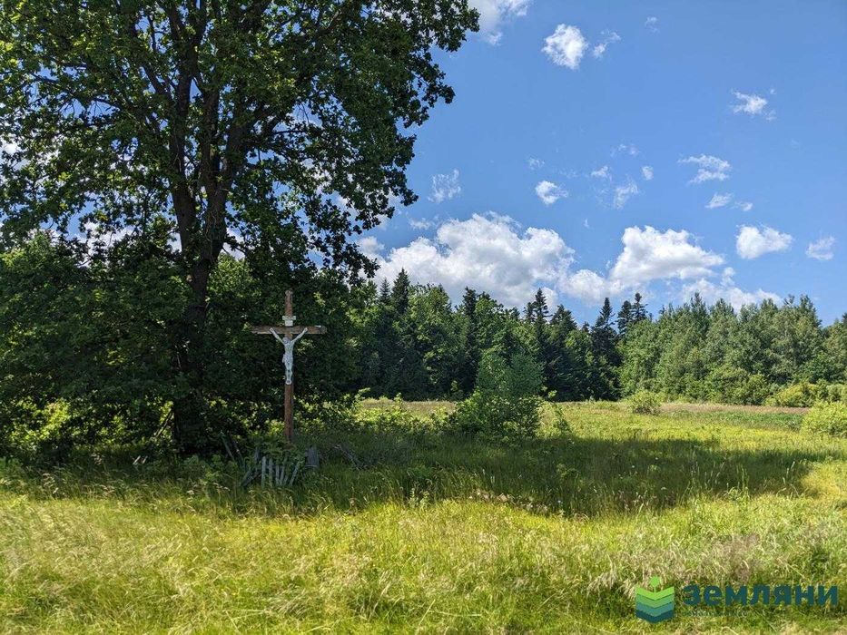 Продаж ділянки із виходом у ліс с. Нова Гута 45.5 сот (8)