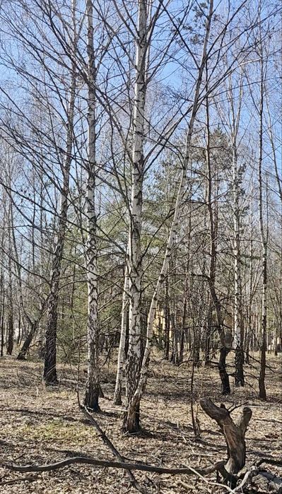 Дмиитрівка (куба). 10 соток. Ціна знижена ! Терміново