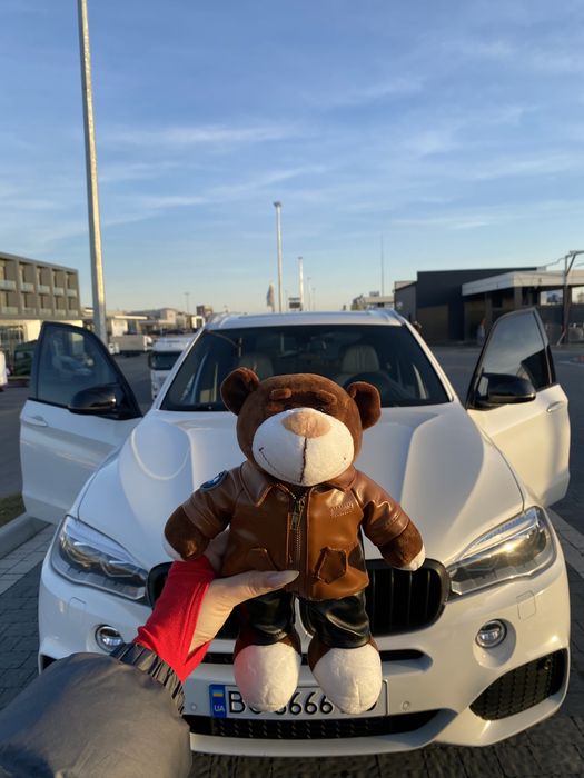 Мʼякі ведмедики BMW