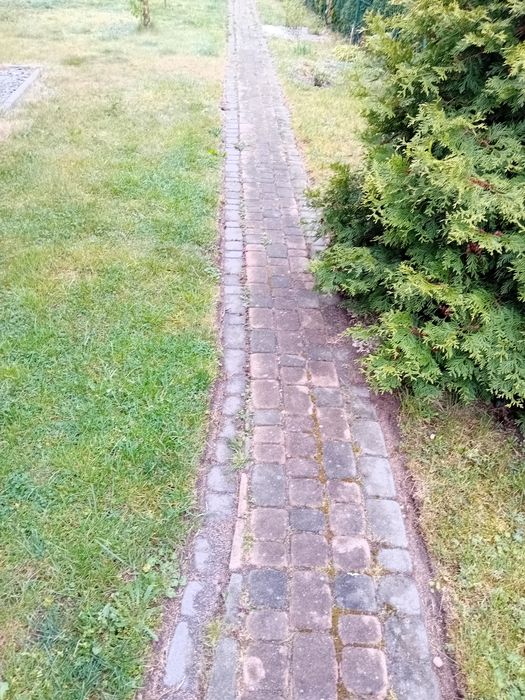Mycie, malowanie, impregnacja