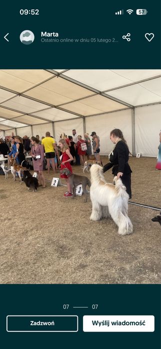 Domowa opieka dla piesków. Hotel