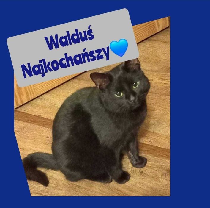 WALDUŚ jest ogromnie ufny