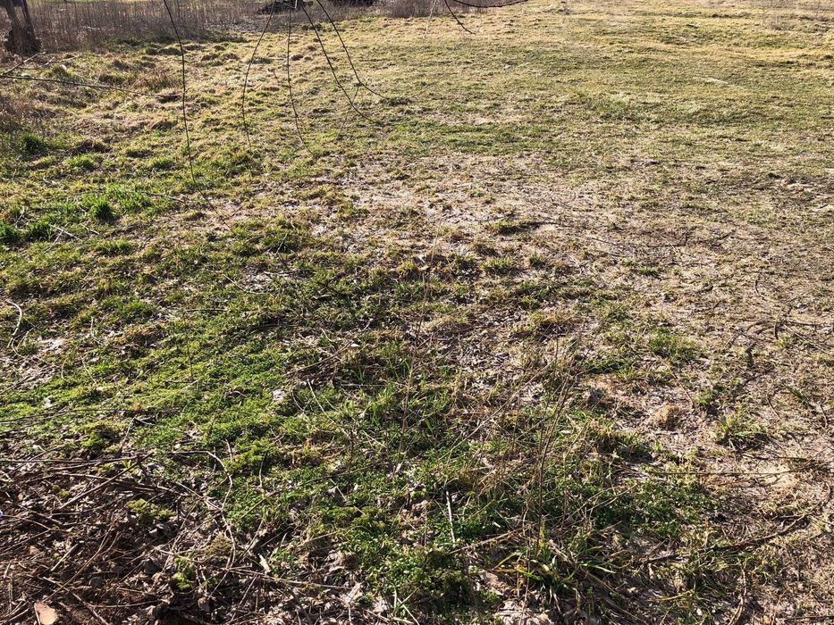 Продаж ділянки 14 сот Велика Димерка, Броварського району, вул.Січнева