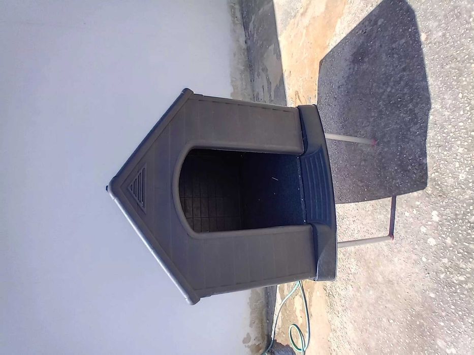 Casota cão grande